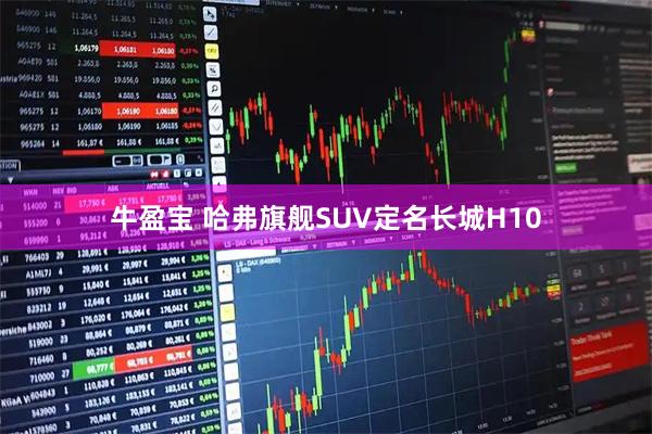 牛盈宝 哈弗旗舰SUV定名长城H10