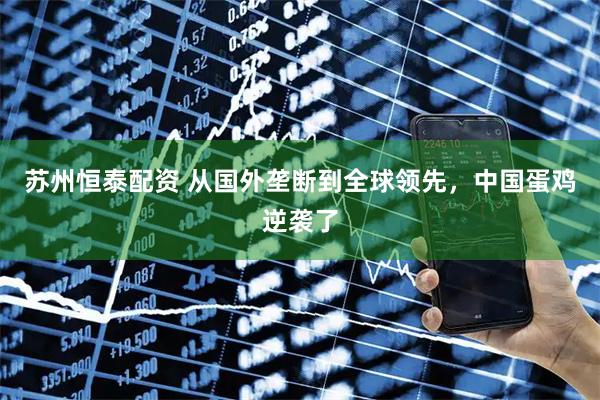 苏州恒泰配资 从国外垄断到全球领先，中国蛋鸡逆袭了